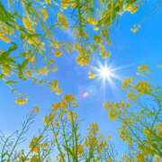 ヒメ日記 2025/04/05 19:04 投稿 なな 桃李（とうり）