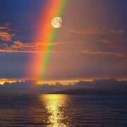 ヒメ日記 2025/04/13 10:44 投稿 なな 桃李（とうり）