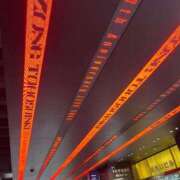 ヒメ日記 2025/04/26 09:44 投稿 なな 桃李（とうり）