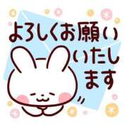 ヒメ日記 2025/04/27 11:24 投稿 なな 桃李（とうり）