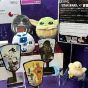 ヒメ日記 2025/04/29 09:45 投稿 なな 桃李（とうり）