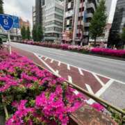 ヒメ日記 2025/04/29 11:04 投稿 なな 桃李（とうり）