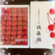 ヒメ日記 2025/05/07 11:13 投稿 なな 桃李（とうり）