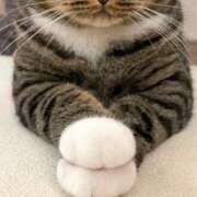 ヒメ日記 2025/05/30 18:57 投稿 なな 桃李（とうり）