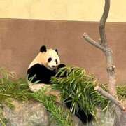 ヒメ日記 2025/06/23 14:44 投稿 なな 桃李（とうり）