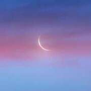 ヒメ日記 2025/06/26 08:04 投稿 なな 桃李（とうり）