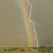 ヒメ日記 2025/07/08 11:24 投稿 なな 桃李（とうり）