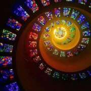 ヒメ日記 2025/07/10 11:34 投稿 なな 桃李（とうり）