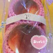 ヒメ日記 2025/07/13 19:54 投稿 なな 桃李（とうり）