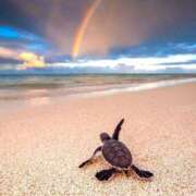 ヒメ日記 2025/07/16 08:34 投稿 なな 桃李（とうり）