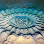 ヒメ日記 2025/07/17 22:55 投稿 なな 桃李（とうり）