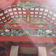 ヒメ日記 2025/07/29 09:33 投稿 なな 桃李（とうり）