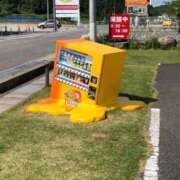 ヒメ日記 2025/08/03 08:05 投稿 なな 桃李（とうり）