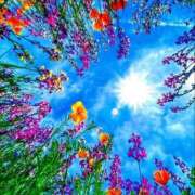 ヒメ日記 2025/08/13 11:14 投稿 なな 桃李（とうり）