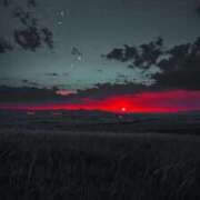 ヒメ日記 2025/08/19 11:30 投稿 なな 桃李（とうり）