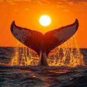 ヒメ日記 2025/08/19 14:44 投稿 なな 桃李（とうり）