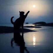 ヒメ日記 2025/08/21 10:23 投稿 なな 桃李（とうり）