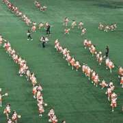 ヒメ日記 2025/08/26 11:24 投稿 なな 桃李（とうり）