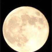 ヒメ日記 2025/09/09 23:04 投稿 なな 桃李（とうり）