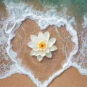 ヒメ日記 2025/09/18 12:54 投稿 なな 桃李（とうり）