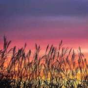 ヒメ日記 2025/09/20 12:26 投稿 なな 桃李（とうり）