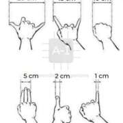 ヒメ日記 2025/09/29 10:14 投稿 なな 桃李（とうり）