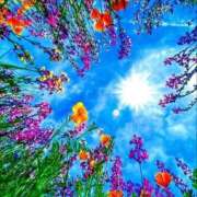 ヒメ日記 2025/09/29 14:54 投稿 なな 桃李（とうり）