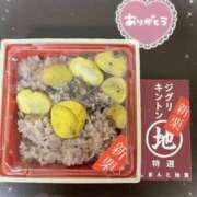 ヒメ日記 2025/10/03 10:34 投稿 なな 桃李（とうり）