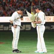 ヒメ日記 2025/10/19 11:54 投稿 なな 桃李（とうり）