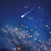 ヒメ日記 2025/10/21 14:44 投稿 なな 桃李（とうり）