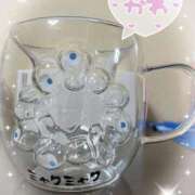 ヒメ日記 2025/10/27 18:04 投稿 なな 桃李（とうり）