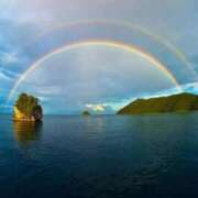 ヒメ日記 2025/11/03 10:54 投稿 なな 桃李（とうり）