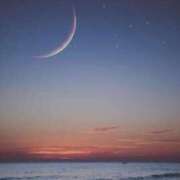 ヒメ日記 2025/11/19 18:39 投稿 なな 桃李（とうり）