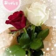 ヒメ日記 2025/11/26 11:14 投稿 なな 桃李（とうり）