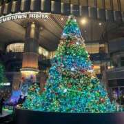 ヒメ日記 2025/12/12 10:44 投稿 なな 桃李（とうり）