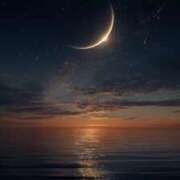 ヒメ日記 2025/12/23 12:24 投稿 なな 桃李（とうり）