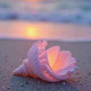 ヒメ日記 2026/01/05 14:44 投稿 なな 桃李（とうり）