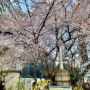 ヒメ日記 2026/01/16 17:38 投稿 なな 桃李（とうり）