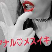 ヒメ日記 2025/10/19 23:58 投稿 しおん クラブ日本橋