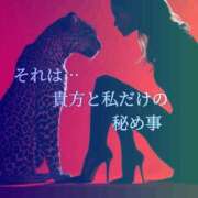 ヒメ日記 2025/11/05 23:55 投稿 しおん クラブ日本橋