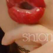 ヒメ日記 2025/11/10 23:55 投稿 しおん クラブ日本橋