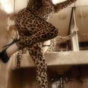 ヒメ日記 2025/12/04 21:54 投稿 しおん クラブ日本橋