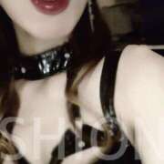 ヒメ日記 2025/12/19 23:59 投稿 しおん クラブ日本橋