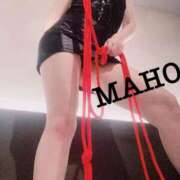 ヒメ日記 2024/12/26 11:13 投稿 まほ クラブ日本橋