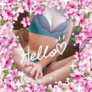 ヒメ日記 2025/04/06 10:30 投稿 まほ クラブ日本橋