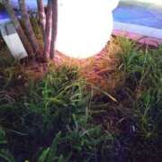 ヒメ日記 2024/12/13 21:45 投稿 みる 待ちナビ