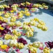 ヒメ日記 2024/12/19 17:55 投稿 みる 待ちナビ