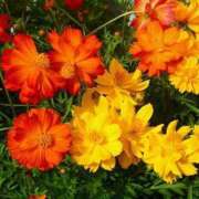 ヒメ日記 2025/04/28 09:53 投稿 みる 待ちナビ