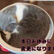 ヒメ日記 2026/02/25 15:02 投稿 このは 熟女の風俗最終章 本厚木店