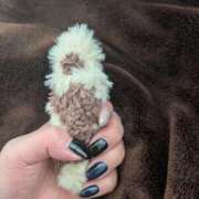 ヒメ日記 2025/02/08 17:48 投稿 柚子(ゆず) 相模原人妻城